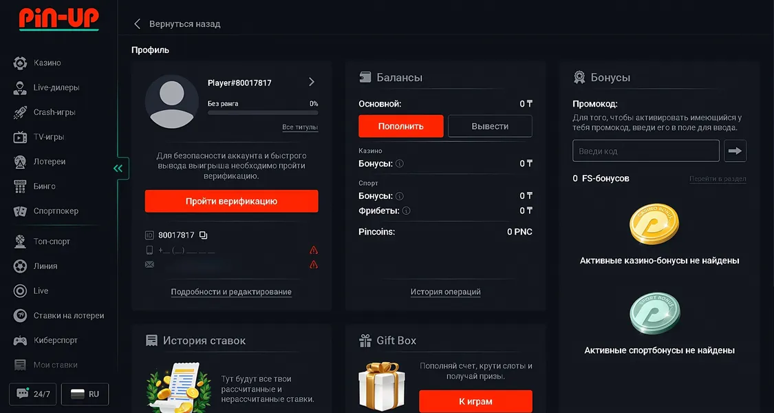 Верификация и её связь с входом в Pin Up
